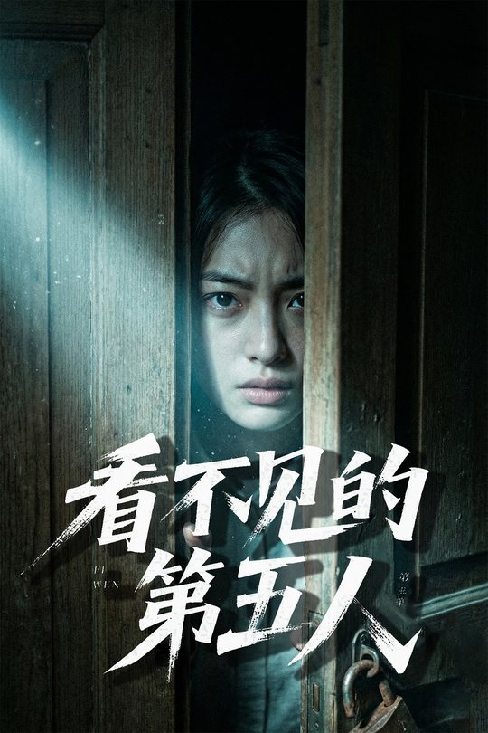 看不见的第五人封面