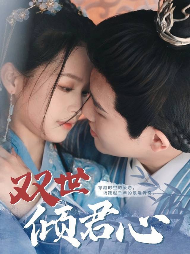 双世倾君心封面