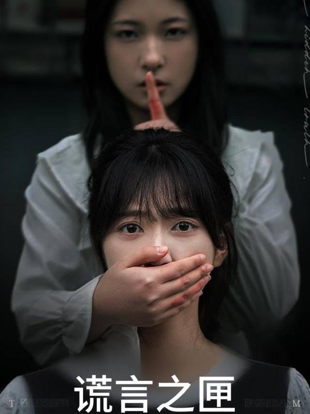 谎言之匣封面