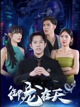 御龙在天封面