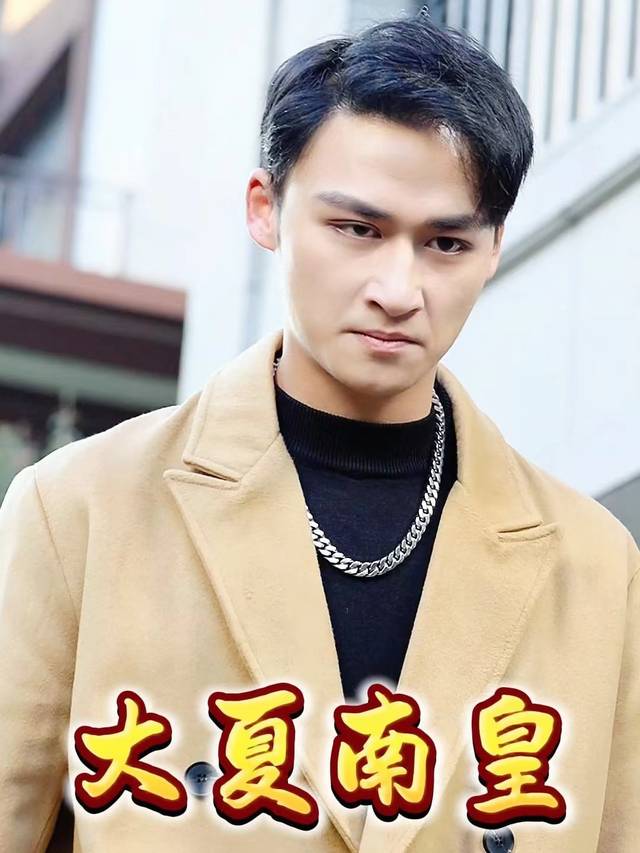 大夏南皇封面