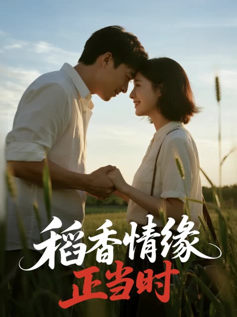 稻香情缘正当时封面