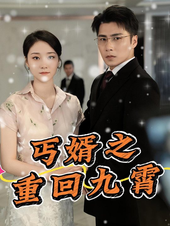 丐婿之重回九霄封面