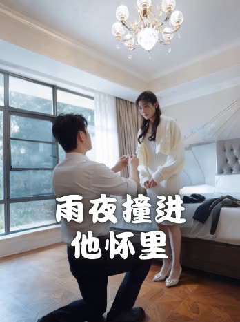 雨夜撞进他怀里封面
