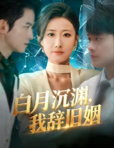 白月沉渊，我辞旧姻封面