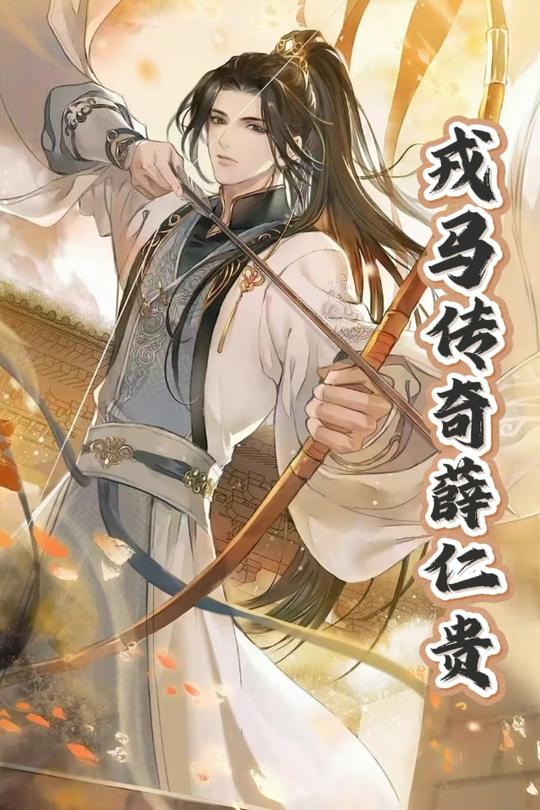 戎马传奇薛仁贵封面