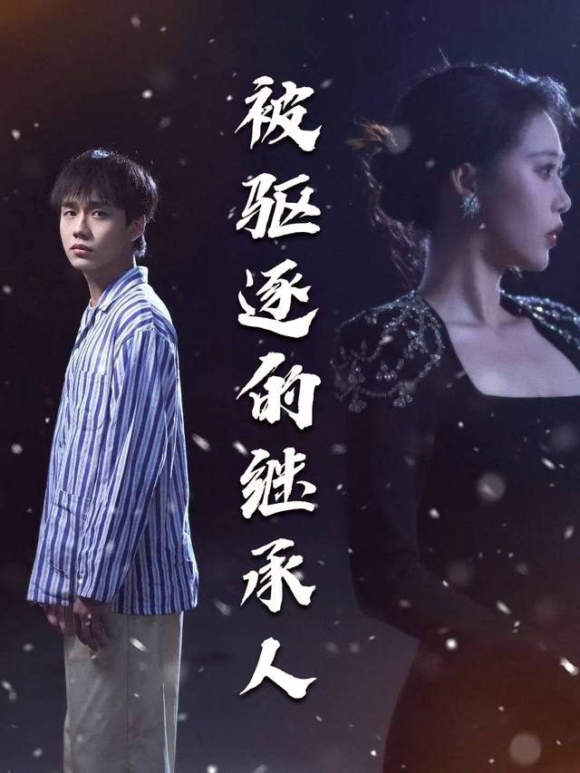 被驱逐的继承人封面