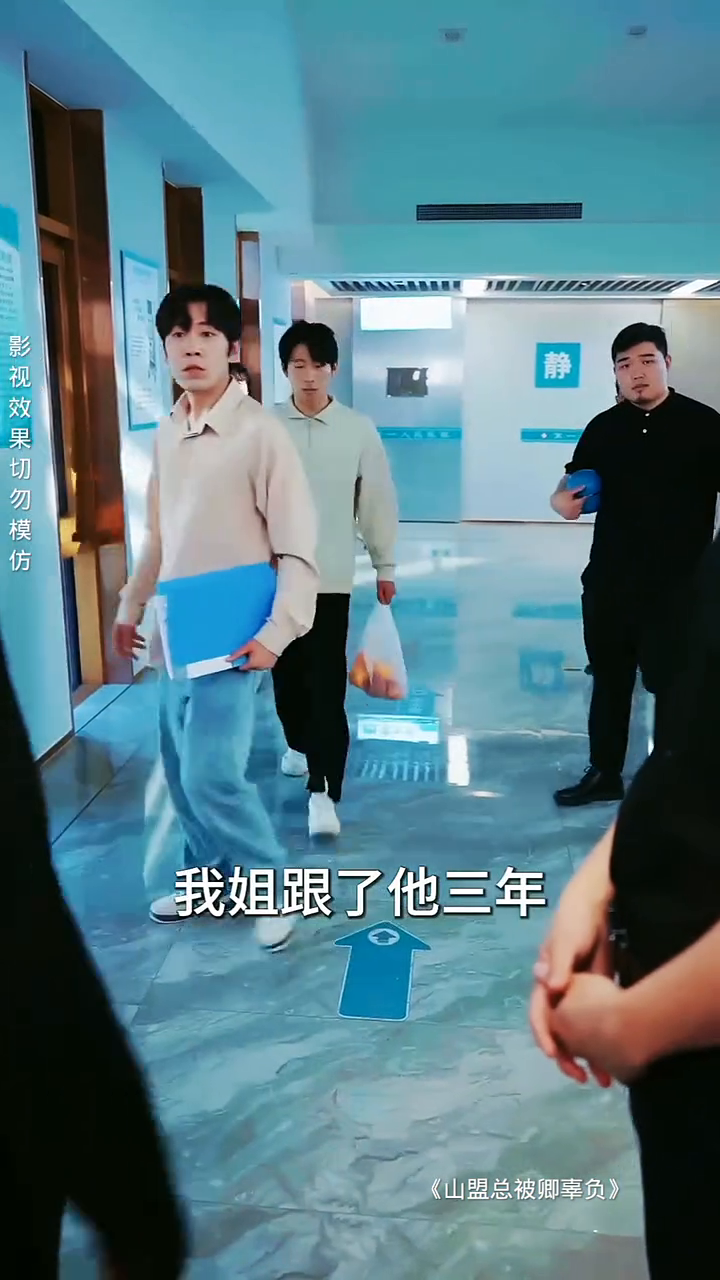 山盟总被卿辜负封面