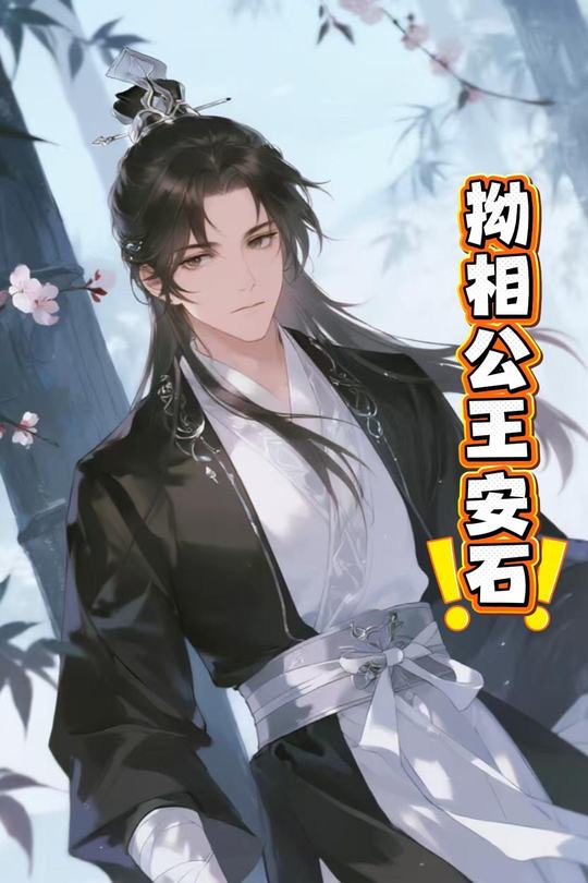 拗相公王安石封面