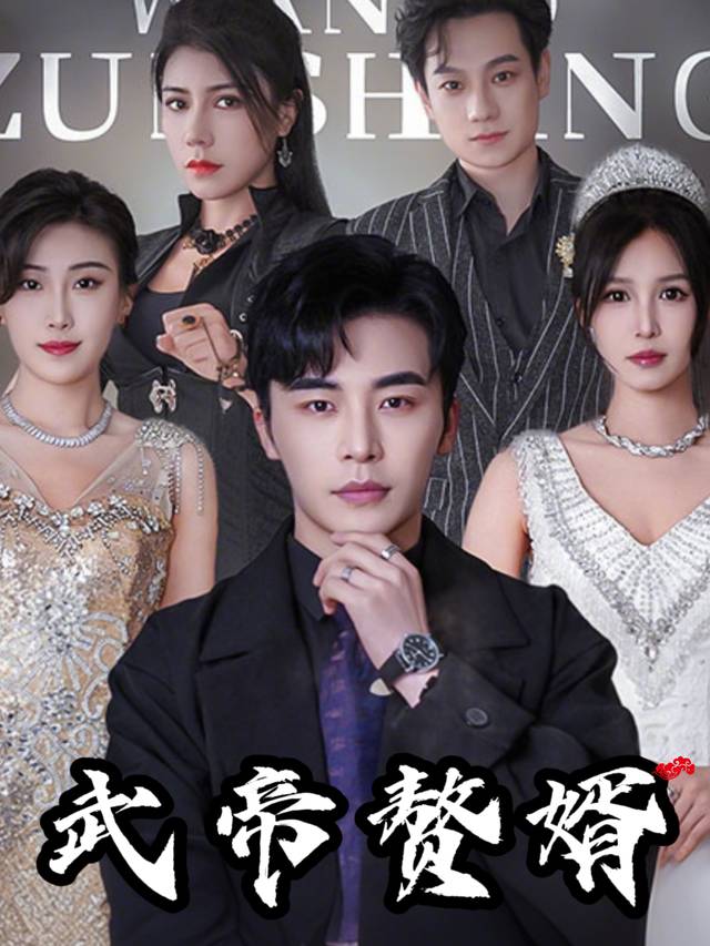 武帝赘婿封面