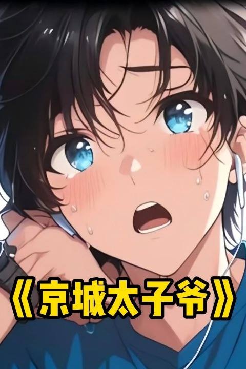 京城太子爷封面