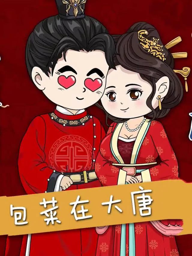 包菜在大唐封面