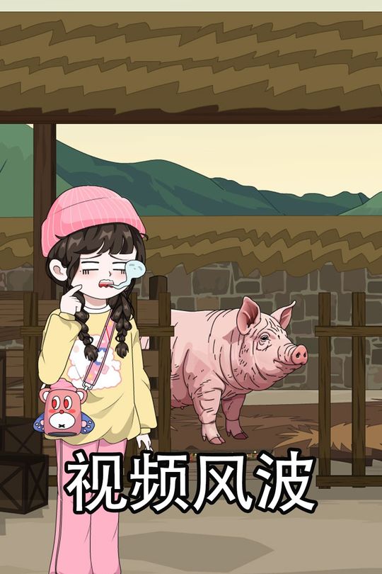 视频风波封面