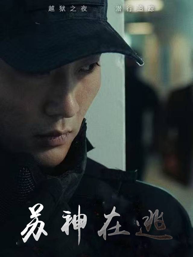 苏神在逃封面