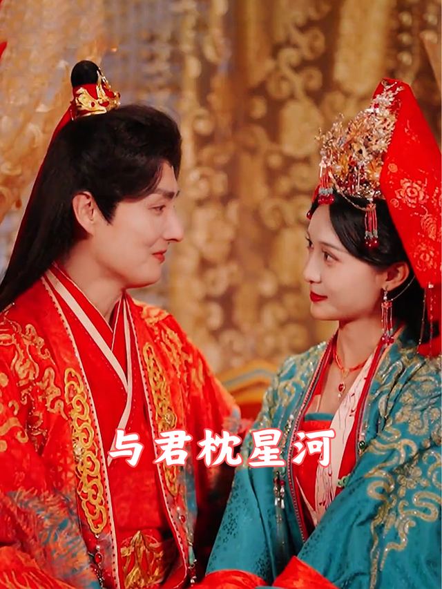 与君枕星河封面