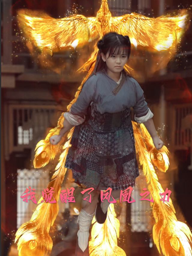 我觉醒了凤凰之力封面