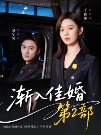 渐入佳婚第2部封面