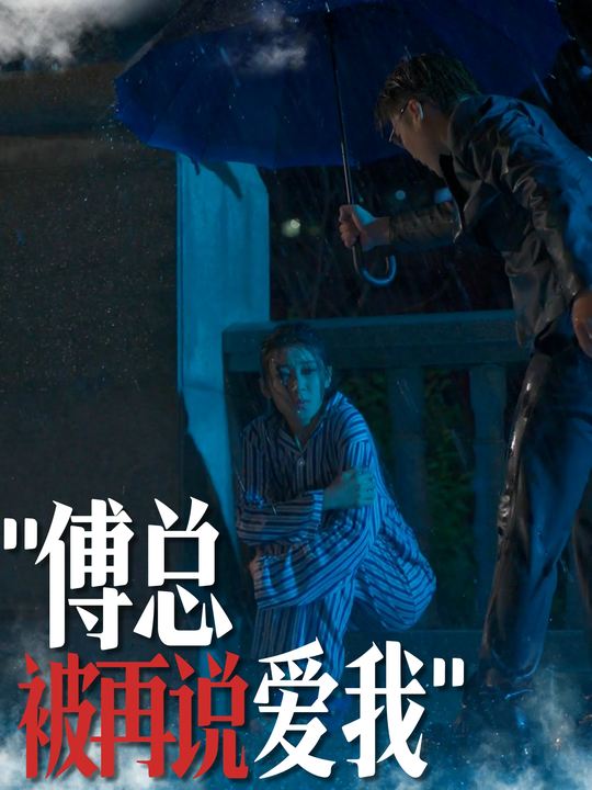 傅总被再说爱我封面