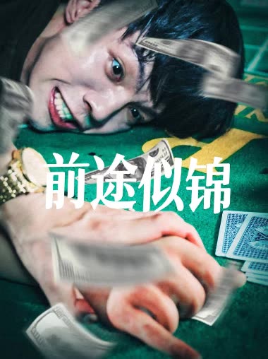 前途似锦封面