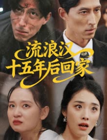流浪汉十五年后回家封面