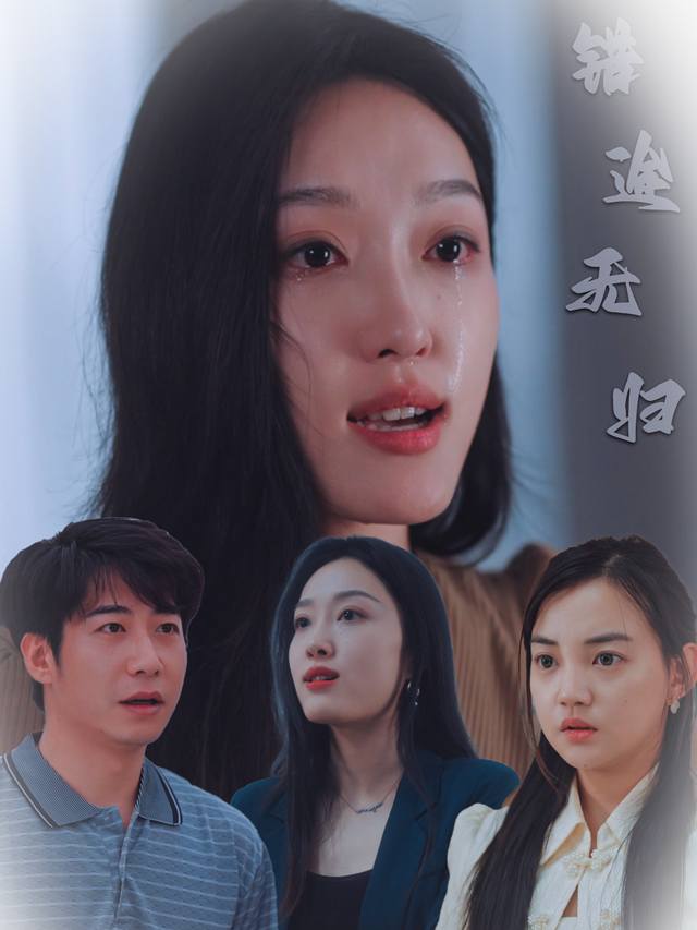 错途无归封面