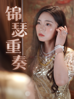 锦瑟重奏封面