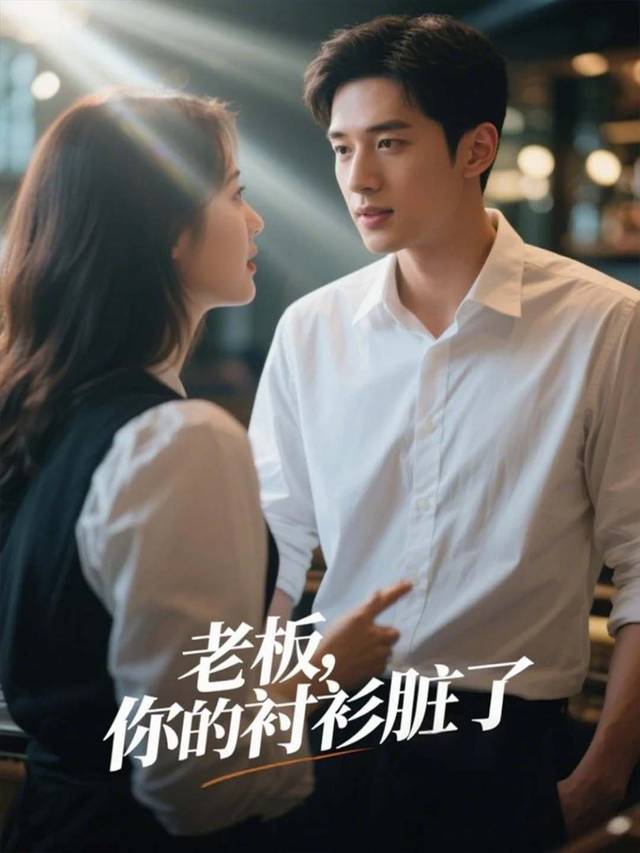老板,你的衬衫脏了封面