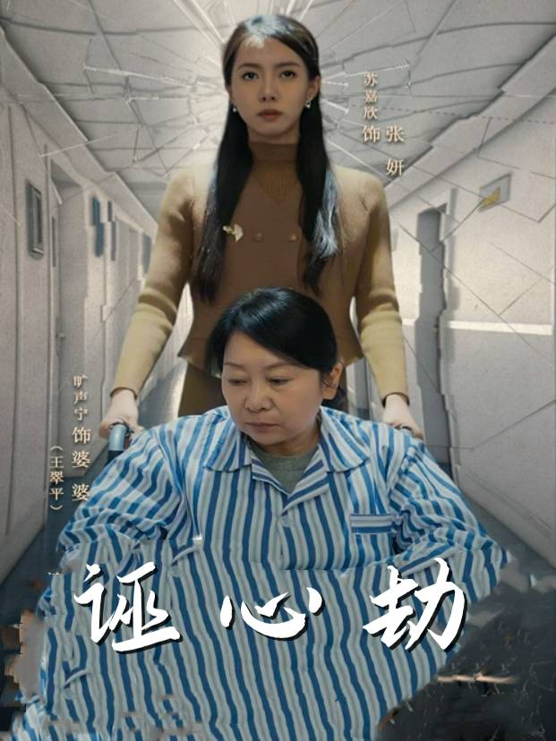 诬心劫封面
