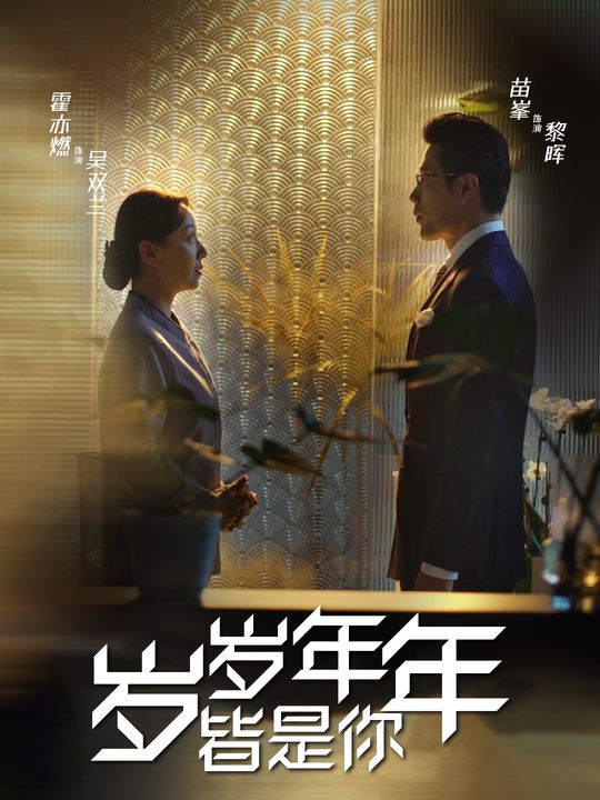 岁岁年年皆是你封面