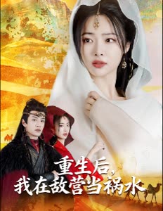 重生后,我在敌营当祸水封面