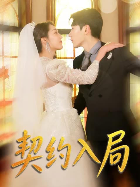 契约入局封面
