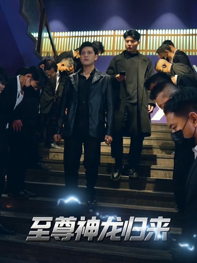 至尊神龙归来封面
