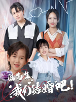 陆先生,我们结婚吧!封面