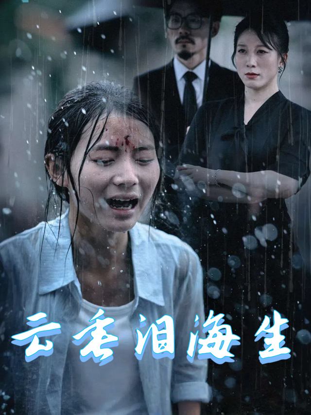 云垂泪海生封面