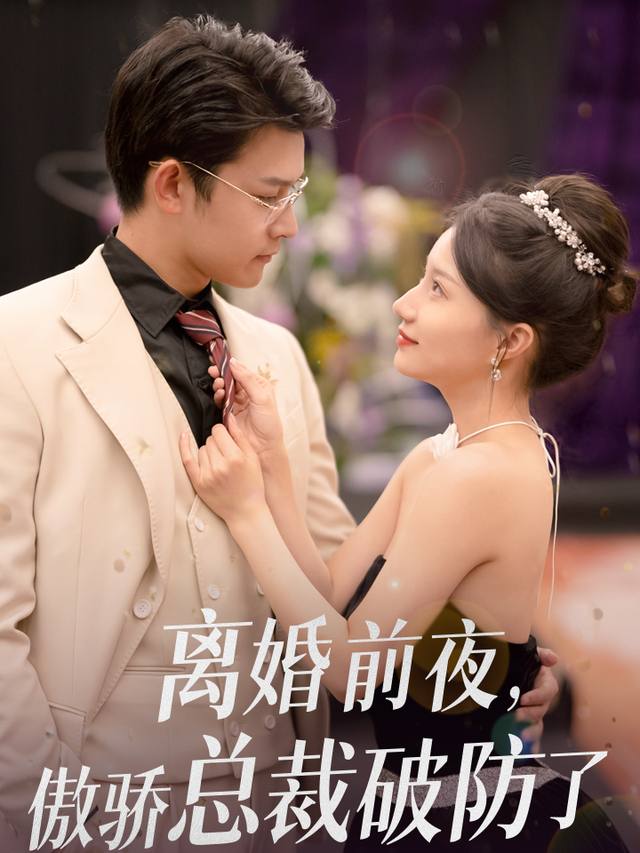 离婚前夜,傲娇总裁破防了封面