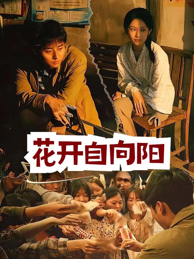 花开自向阳封面