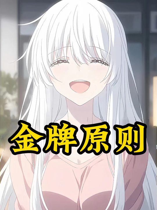 金牌原则第一季封面