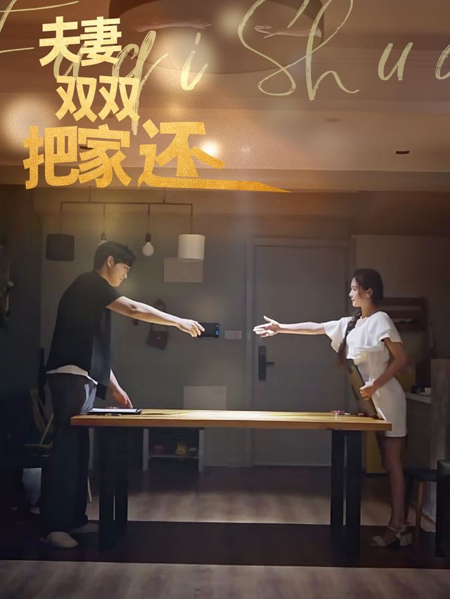 夫妻双双把家还封面
