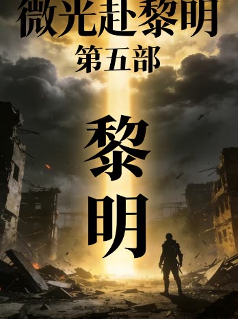 微光赴黎明 第五部封面