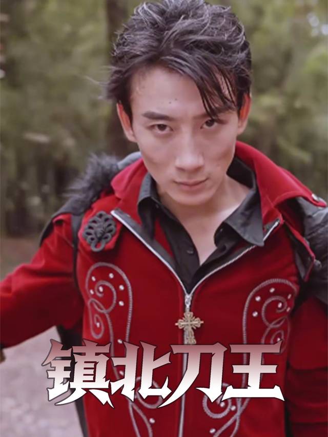 镇北刀王封面