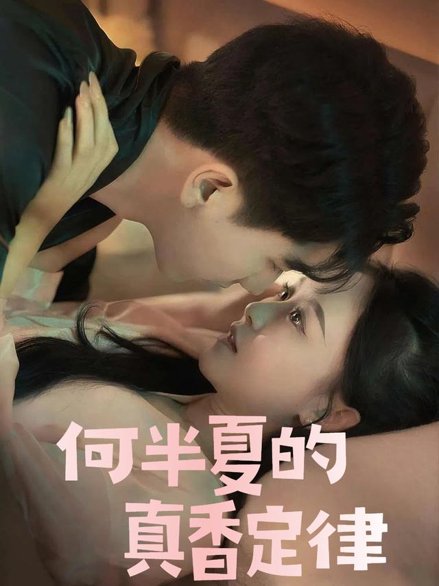 何半夏的真香定律封面