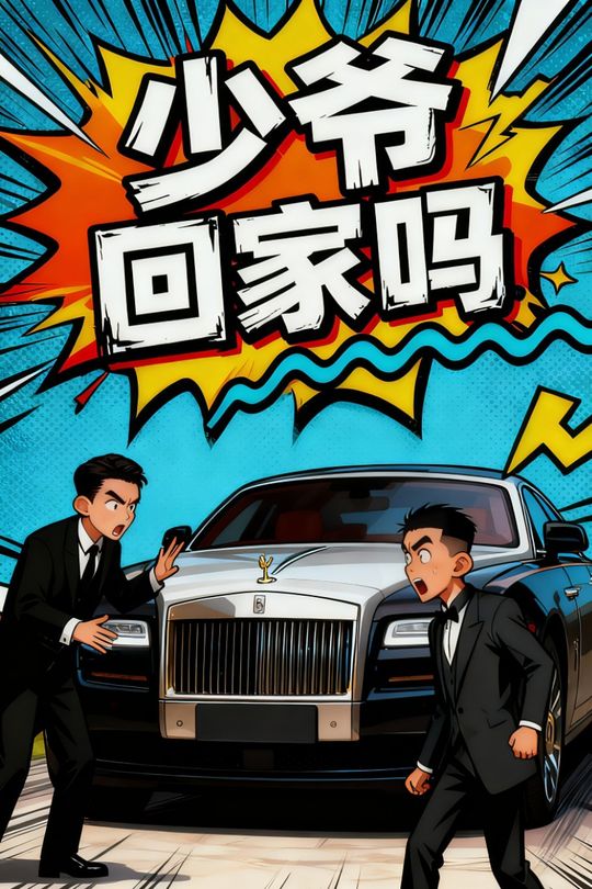 少爷回家吗封面