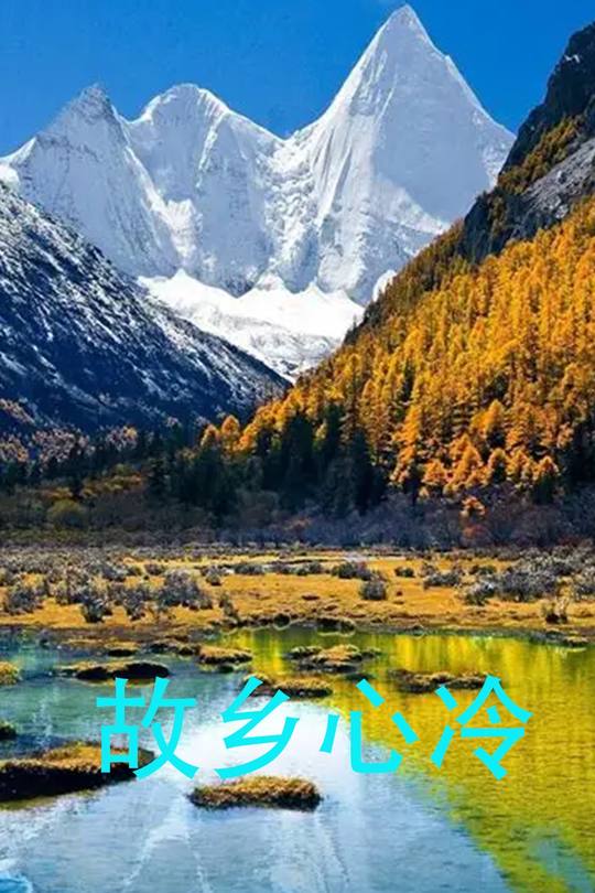 故乡心冷封面