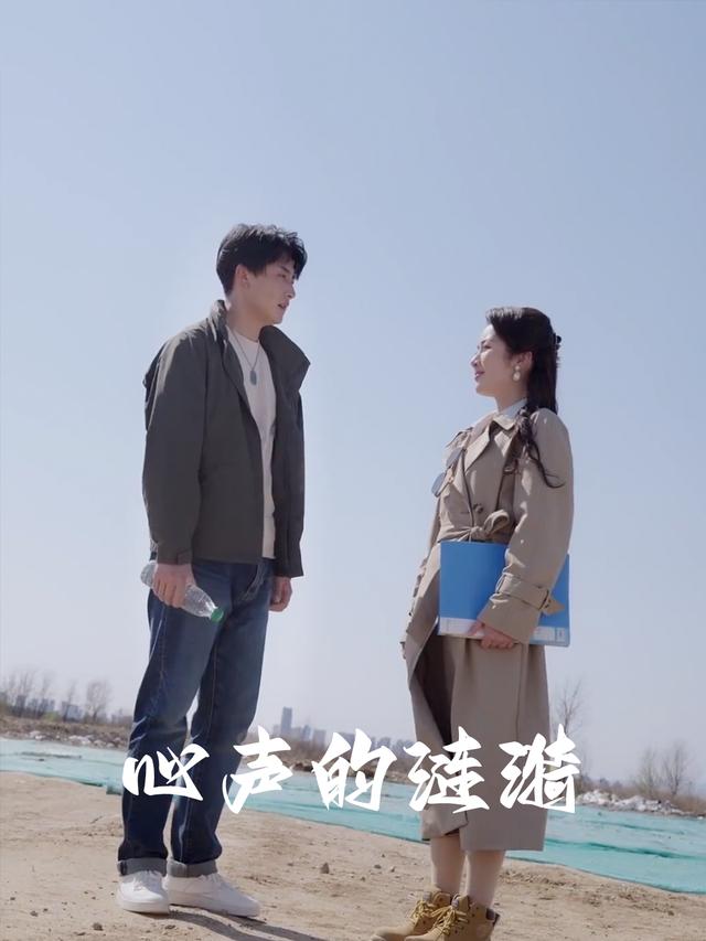 心声的涟漪封面