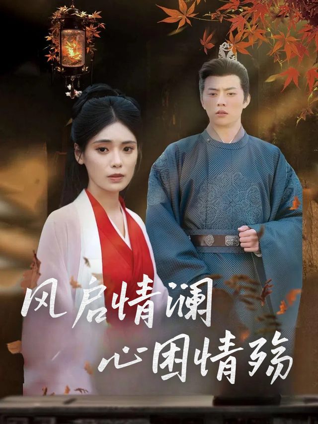 风启情澜心困情殇封面