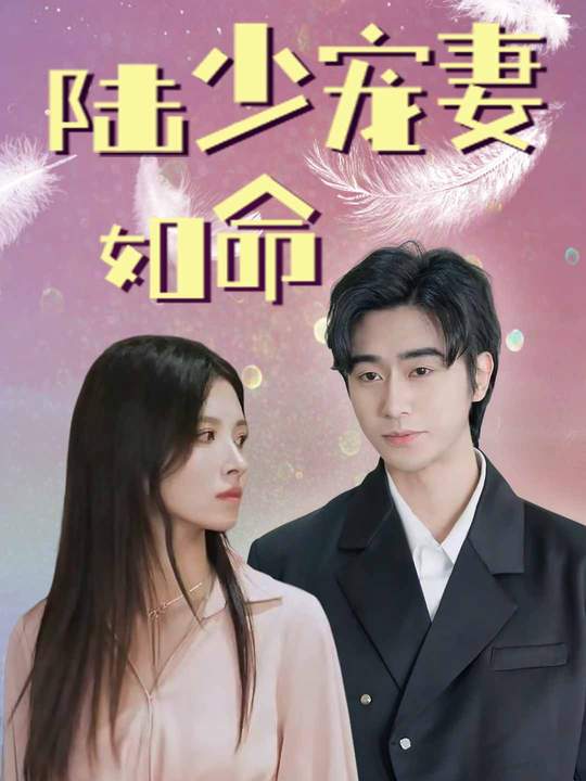 陆少宠妻如命封面