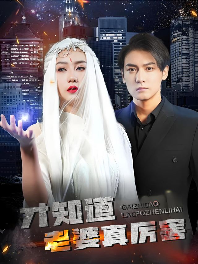 才知道老婆真厉害封面
