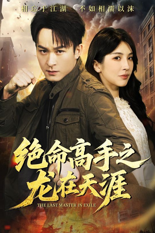 绝命高手之龙在天涯封面