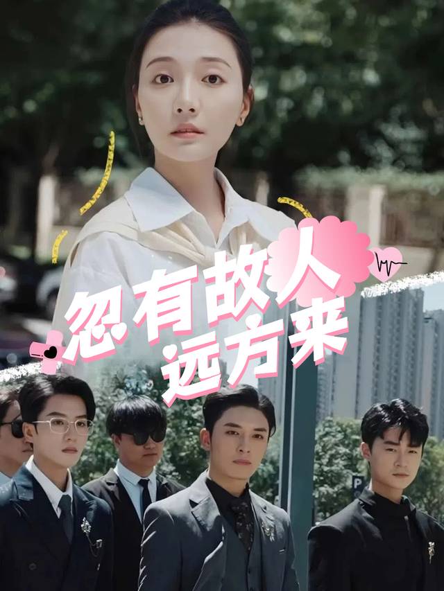 忽有故人远方来封面