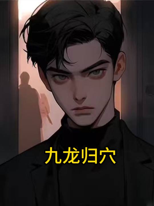 九龙归穴封面